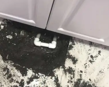 金东查漏水哪家好